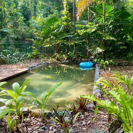 Vila Daintree Siesta Diwan Exteriér fotografie
