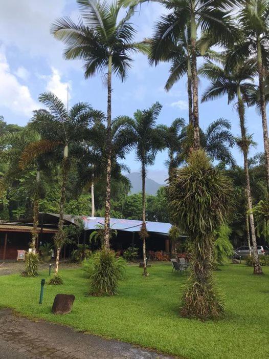 Vila Daintree Siesta Diwan Exteriér fotografie